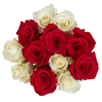 FRESH CUT FLOWERS BOUQUET WITH FREE NOTE