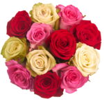 FRESH CUT FLOWERS BOUQUET WITH FREE NOTE