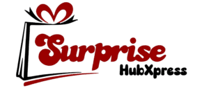 SurpriseHubXpress